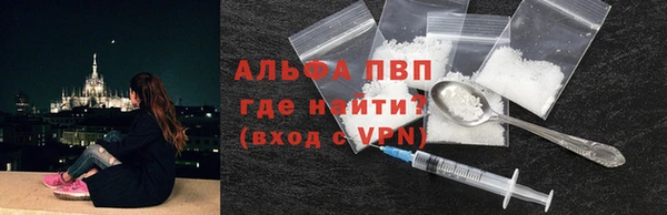 индика Арсеньев