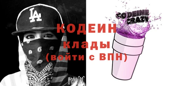индика Арсеньев