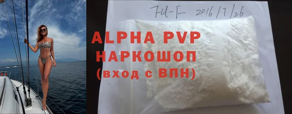 индика Арсеньев