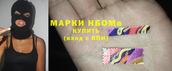 индика Арсеньев