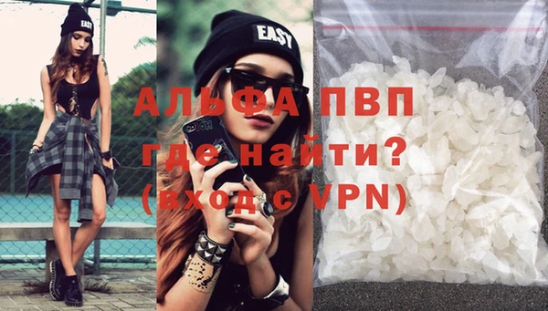 индика Арсеньев