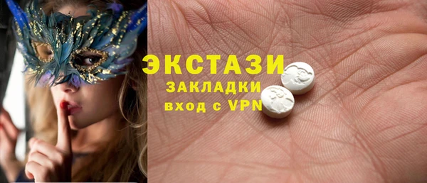 индика Арсеньев